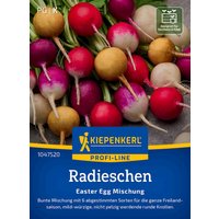 Kiepenkerl Radieschen Easter Egg Mix – 1 Pkg Kiepenkerl Radieschen Easter Egg Mix – 1 Pkg