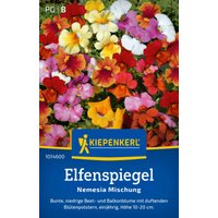 Kiepenkerl Elfenspiegel „Nemesia Mischung“ – 1 Pkg Kiepenkerl Elfenspiegel „Nemesia Mischung“ – 1 Pkg