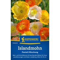 Kiepenkerl Islandmohn „Pastell-Mischung“ – 1 Pkg Kiepenkerl Islandmohn „Pastell-Mischung“ – 1 Pkg