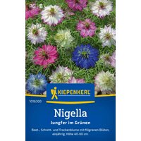 Kiepenkerl Nigella „Jungfer im Grünen“ – 1 Pkg Kiepenkerl Nigella „Jungfer im Grünen“ – 1 Pkg