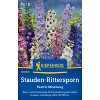 Kiepenkerl Stauden-Rittersporn „Pacific Mischung“ – 1 Pkg Kiepenkerl Stauden-Rittersporn „Pacific Mischung“ – 1 Pkg