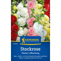 Kiepenkerl Stockrose „Chater’s Mischung“ – 1 Pkg Kiepenkerl Stockrose „Chater’s Mischung“ – 1 Pkg