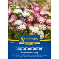 Kiepenkerl Zwergaster „Bambina Mischung“ – 1 Pkg Kiepenkerl Zwergaster „Bambina Mischung“ – 1 Pkg