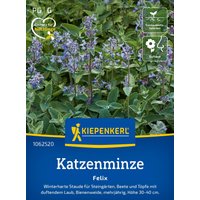 Kiepenkerl Katzenminze „Felix“ – 1 Pkg Kiepenkerl Katzenminze „Felix“ – 1 Pkg