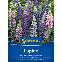 Kiepenkerl Lupinen „Gartenzwerg Mischung“ – 1 Pkg Kiepenkerl Lupinen „Gartenzwerg Mischung“ – 1 Pkg