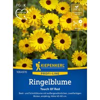 Kiepenkerl Ringelblume „Touch of Red“ – 1 Pkg Kiepenkerl Ringelblume „Touch of Red“ – 1 Pkg