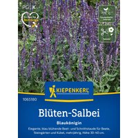 Kiepenkerl Blüten-Salbei „Blaukönigin“ – 1 Pkg Kiepenkerl Blüten-Salbei „Blaukönigin“ – 1 Pkg