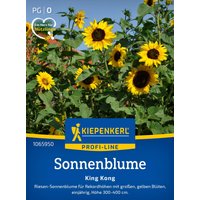 Kiepenkerl Sonnenblume King Kong – 1 Pkg Kiepenkerl Sonnenblume King Kong – 1 Pkg
