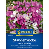 Kiepenkerl Staudenwicke Pastell Mischung – 1 Pkg Kiepenkerl Staudenwicke Pastell Mischung – 1 Pkg