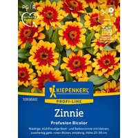 Kiepenkerl Zinnie Profusion Bicolor – 1 Pkg Kiepenkerl Zinnie Profusion Bicolor – 1 Pkg