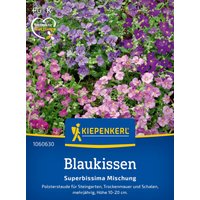 Kiepenkerl Blaukissen Superbissima Mischung – 1 Pkg Kiepenkerl Blaukissen Superbissima Mischung – 1 Pkg