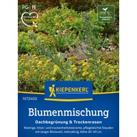 Kiepenkerl Dachbegrünung & Trockenrasen – 1 Pkg Kiepenkerl Dachbegrünung & Trockenrasen – 1 Pkg