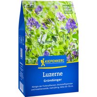 Kiepenkerl Gründünger Luzerne – 400 g Kiepenkerl Gründünger Luzerne – 400 g