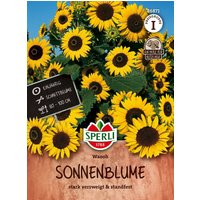 Sperli Bio Sonnenblume – 1 Pkg Sperli Bio Sonnenblume – 1 Pkg