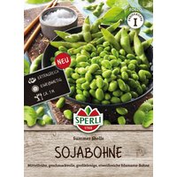 Sperli Sojabohne Summer Shells – 1 Pkg Sperli Sojabohne Summer Shells – 1 Pkg