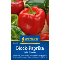 Kiepenkerl Block-Paprika Yolo Wonder – 1 Pkg Kiepenkerl Block-Paprika Yolo Wonder – 1 Pkg