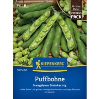 Kiepenkerl Puffbohne Hangdown Grünkernig – 1 Pkg Kiepenkerl Puffbohne Hangdown Grünkernig – 1 Pkg