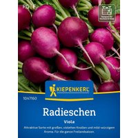 Kiepenkerl Radieschen Viola – 1 Pkg Kiepenkerl Radieschen Viola – 1 Pkg