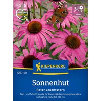 Kiepenkerl Sonnenhut Roter Leuchtstern – 1 Pkg Kiepenkerl Sonnenhut Roter Leuchtstern – 1 Pkg