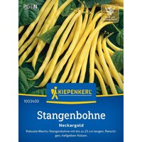 Kiepenkerl Stangenbohnen Neckargold – 1 Pkg Kiepenkerl Stangenbohnen Neckargold – 1 Pkg