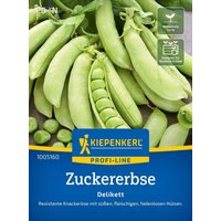 Kiepenkerl Zuckererbse Delikett – 1 Pkg Kiepenkerl Zuckererbse Delikett – 1 Pkg