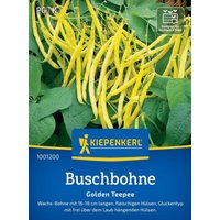Kiepenkerl Buschbohnen „Golden Teepee“ (Wachs) – 1 Pkg Kiepenkerl Buschbohnen „Golden Teepee“ (Wachs) – 1 Pkg