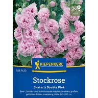 Kiepenkerl Stockrose Chater´s Double Pink – 1 Pkg Kiepenkerl Stockrose Chater´s Double Pink – 1 Pkg