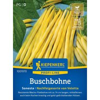 Kiepenkerl Buschbohnen Sonesta – 1 Pkg Kiepenkerl Buschbohnen Sonesta – 1 Pkg