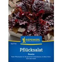 Kiepenkerl Pflücksalat Rosela – 1 Pkg Kiepenkerl Pflücksalat Rosela – 1 Pkg