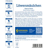 Kiepenkerl Löwenmäulchen Cherry Twist – 1 Pkg Kiepenkerl Löwenmäulchen Cherry Twist – 1 Pkg