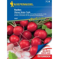 Kiepenkerl Radies Wiener Rotes Treib – 1 Pkg Kiepenkerl Radies Wiener Rotes Treib – 1 Pkg