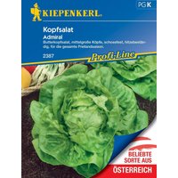 Kiepenkerl Kopfsalat Admiral – 1 Pkg Kiepenkerl Kopfsalat Admiral – 1 Pkg