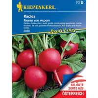 Kiepenkerl Radies Riesen von Aspern – 1 Pkg Kiepenkerl Radies Riesen von Aspern – 1 Pkg