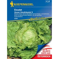 Kiepenkerl Eissalat Grazer Krauthäuptel 2 – 1 Pkg Kiepenkerl Eissalat Grazer Krauthäuptel 2 – 1 Pkg