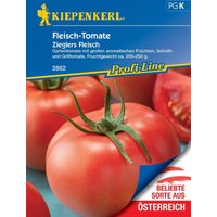Kiepenkerl Fleisch-Tomate Zieglers Fleisch – 1 Pkg Kiepenkerl Fleisch-Tomate Zieglers Fleisch – 1 Pkg