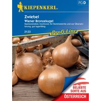 Kiepenkerl Zwiebel Wiener Bronzekugel – 1 Pkg Kiepenkerl Zwiebel Wiener Bronzekugel – 1 Pkg