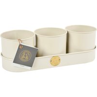 Burgon & Ball Kräutertöpfe Set – Creme – 1 Set Burgon & Ball Kräutertöpfe Set – Creme – 1 Set