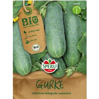 Sperli Bio Gurke Marketmore – 1 Stk. Sperli Bio Gurke Marketmore – 1 Stk.