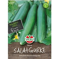 Sperli Salatgurke „Fatum“ – 1 Pkg Sperli Salatgurke „Fatum“ – 1 Pkg