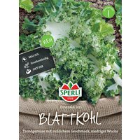 Sperli Blattkohl „Emerald Ice“ – 1 Pkg Sperli Blattkohl „Emerald Ice“ – 1 Pkg