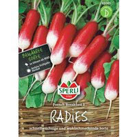 Sperli Radies „French Breakfast 3“ – 1 Pkg Sperli Radies „French Breakfast 3“ – 1 Pkg