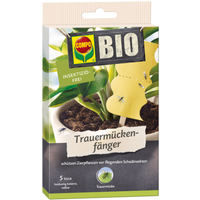 COMPO BIO Trauermückenfänger – 5 Stück COMPO BIO Trauermückenfänger – 5 Stück
