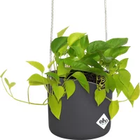 elho Hängetopf 18cm b.for swing – anthrazit elho Hängetopf 18cm b.for swing – anthrazit