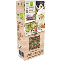 Sperli Bio Keimsprossen-Saat Pikante Mischung – 1 Pkg Sperli Bio Keimsprossen-Saat Pikante Mischung – 1 Pkg