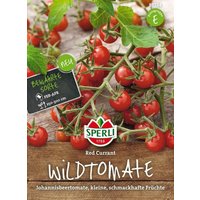 Sperli Tomate „Rote Johannisbeertomate“ – 1 Pkg Sperli Tomate „Rote Johannisbeertomate“ – 1 Pkg