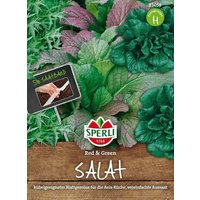 Sperli Salat „Red & Green“ 5m Saatband – 1 Pkg Sperli Salat „Red & Green“ 5m Saatband – 1 Pkg