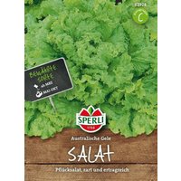 Sperli Pflücksalat „Australische Gele“ – 1 Pkg Sperli Pflücksalat „Australische Gele“ – 1 Pkg