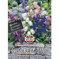Glockenblume „Sperli’s Campana Mischung“ – 1 Pkg Glockenblume „Sperli’s Campana Mischung“ – 1 Pkg
