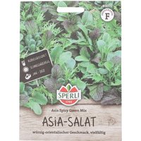 Sperli Salat Mischung „Asia Spicy Green Mix“ – 1 Pkg Sperli Salat Mischung „Asia Spicy Green Mix“ – 1 Pkg
