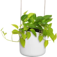 elho Hängetopf 18cm b.for swing – weiss elho Hängetopf 18cm b.for swing – weiss